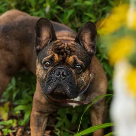 Hotel Vitalhotel Marienhof