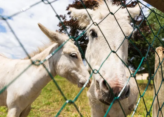 Vitalhotel Marienhof 4*