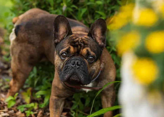 Otel Vitalhotel Marienhof